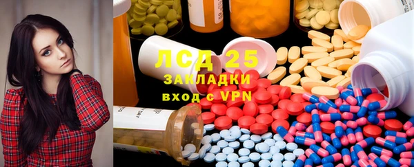 дмт Алзамай