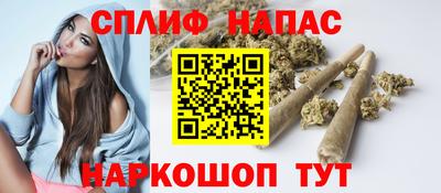 крисы Коммунар