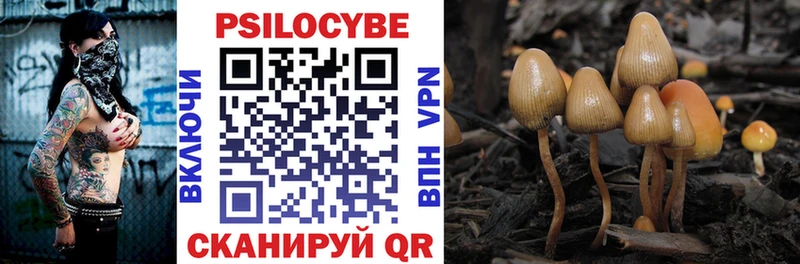 Галлюциногенные грибы Magic Shrooms  Кириши 