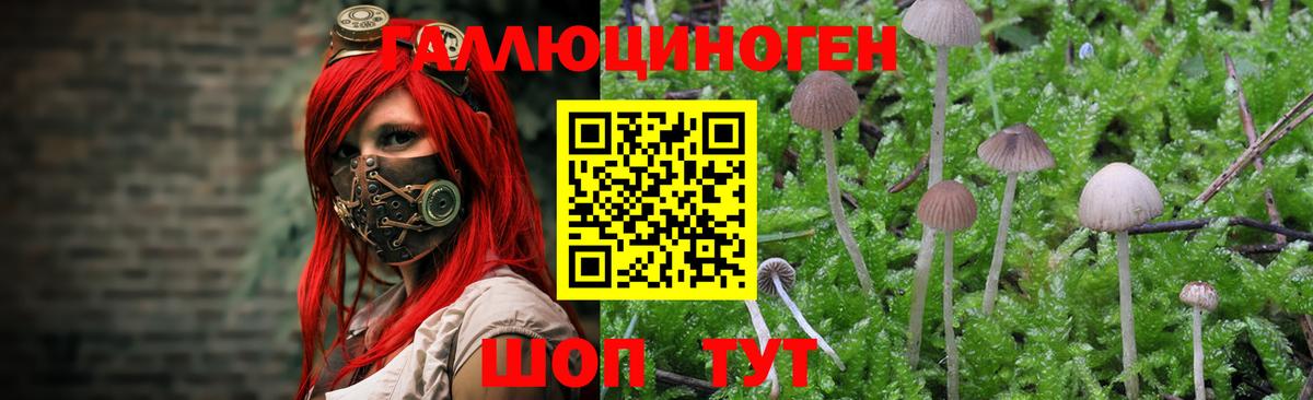 купить наркоту  Псилоцибиновые грибы прущие грибы  Вход с VPN  Кириши 