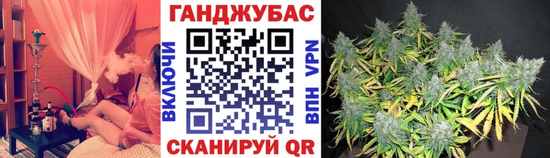 darknet состав  цены   Кириши  Бошки марихуана план 